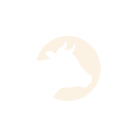 Healthy Animal Healthy Milk